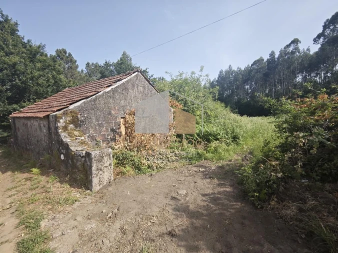 Terreno para Venda em Sapardos