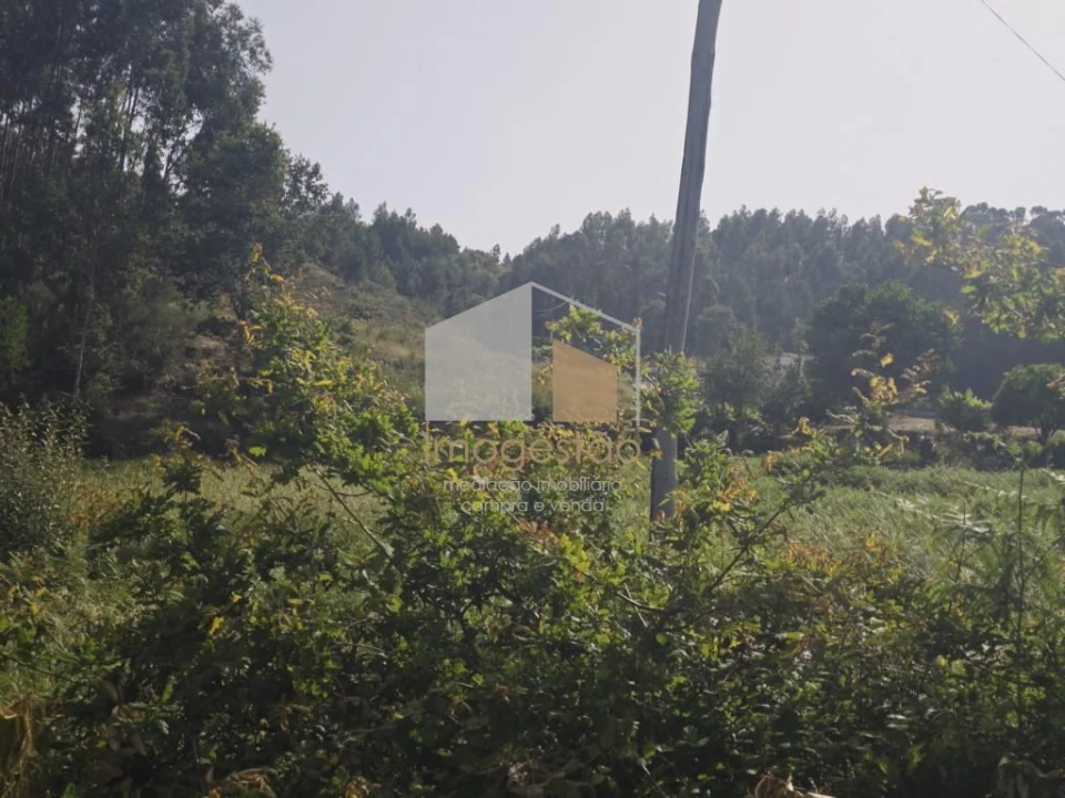 Terreno para Venda em Sapardos Foto 16