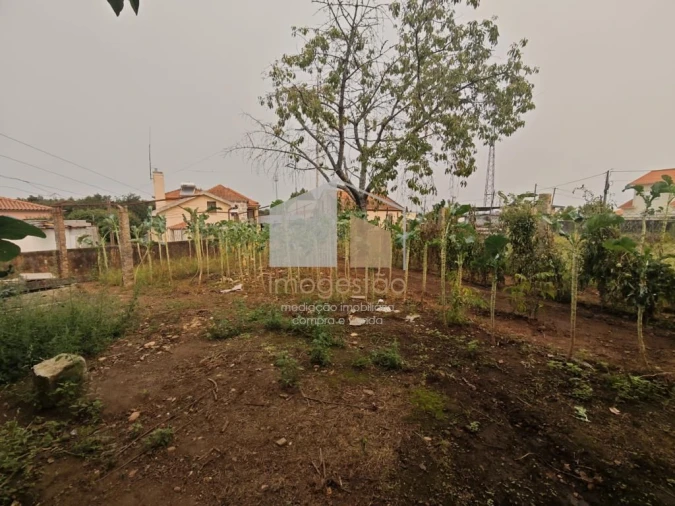 Moradia T4 para Venda em Campos e Vila Meã Foto 38