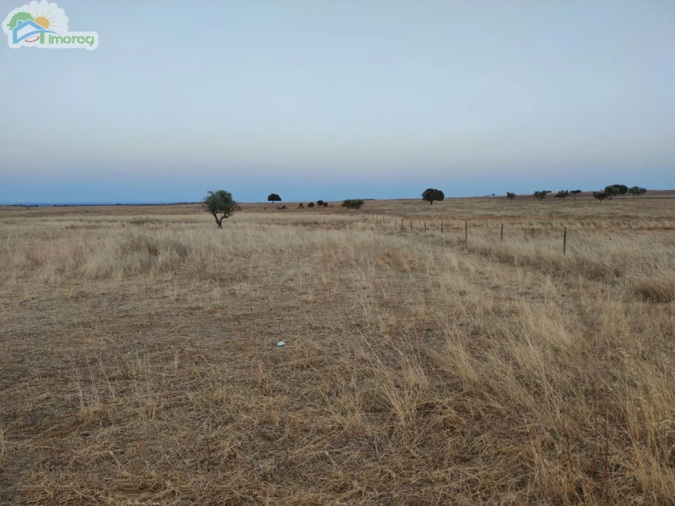 Terreno para Venda em Reguengos de Monsaraz Foto 1