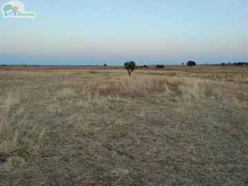 Terreno para Venda em Reguengos de Monsaraz