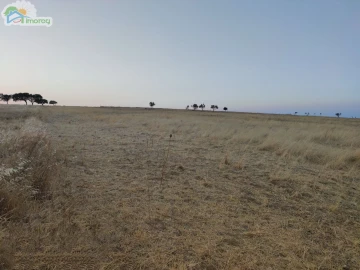 Terreno para Venda em Reguengos de Monsaraz