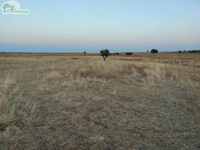 Terreno para Venda em Reguengos de Monsaraz Foto 2