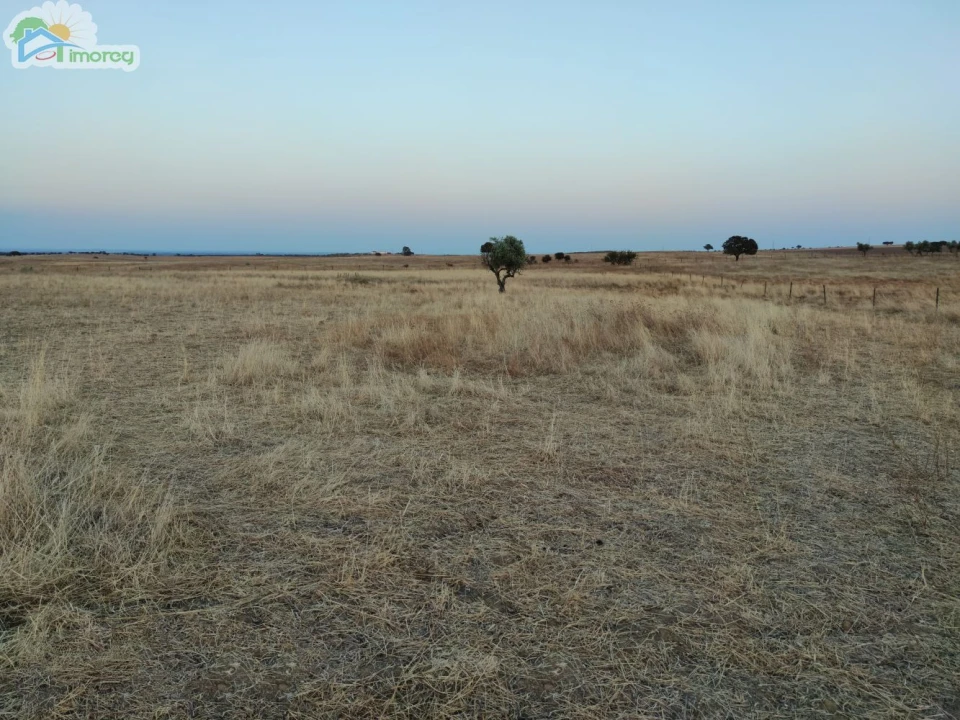Terreno para Venda em Reguengos de Monsaraz Foto 2