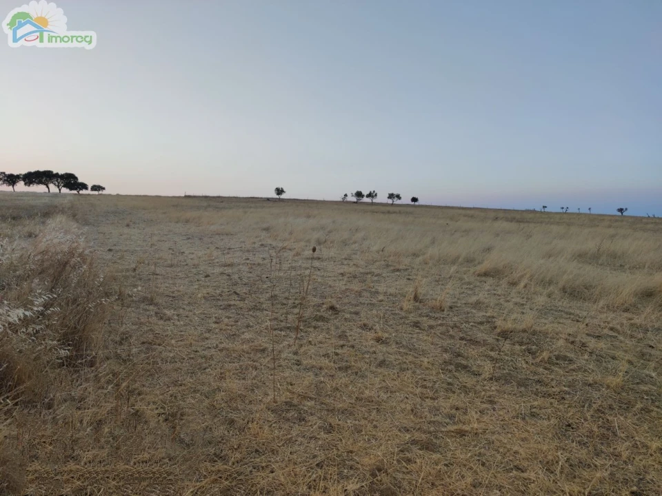 Terreno para Venda em Reguengos de Monsaraz Foto 3
