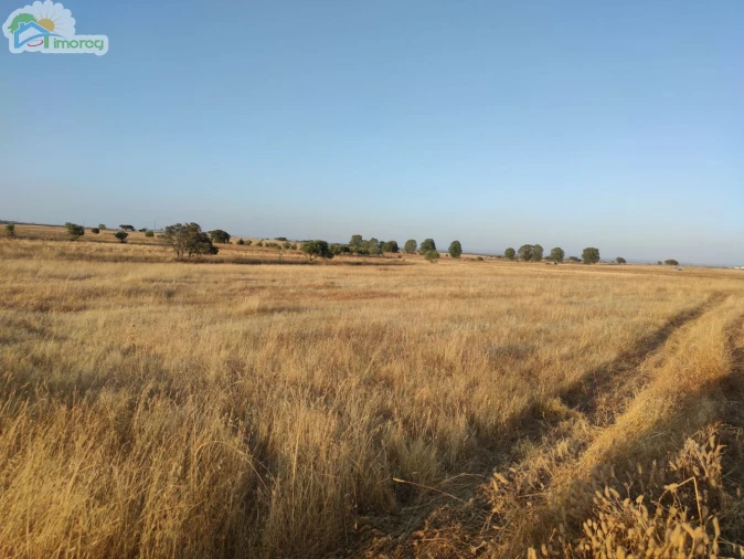 Terreno para Venda em Campo e Campinho Foto 1