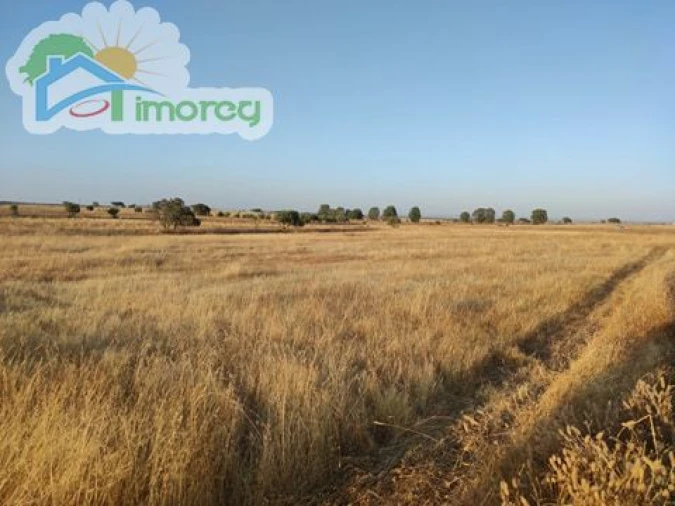 Terreno para Venda em Campo e Campinho Foto 3