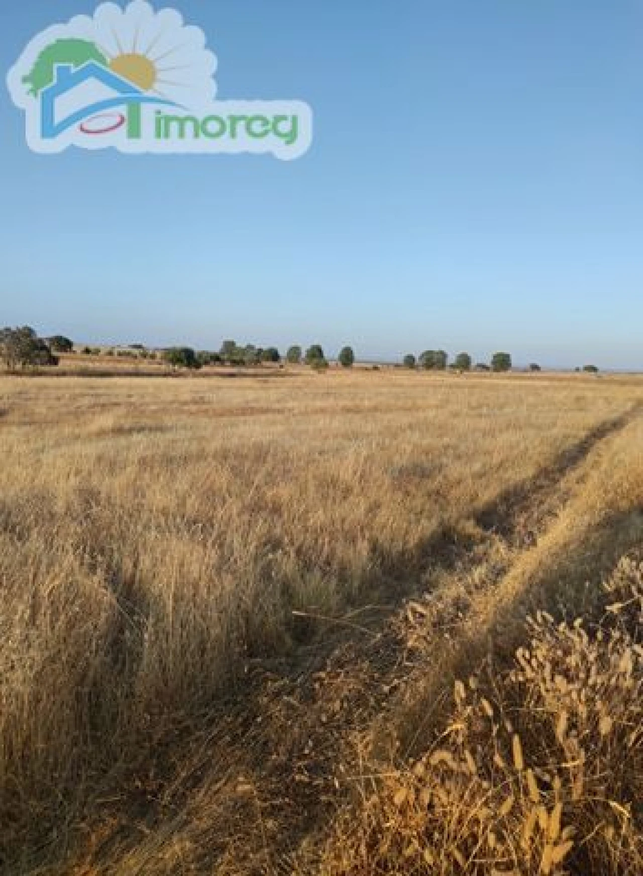 Terreno para Venda em Campo e Campinho Foto 2