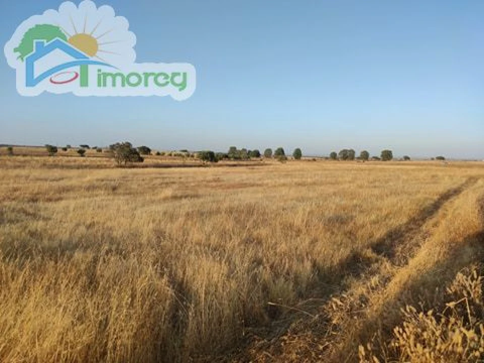 Terreno para Venda em Campo e Campinho Foto 3