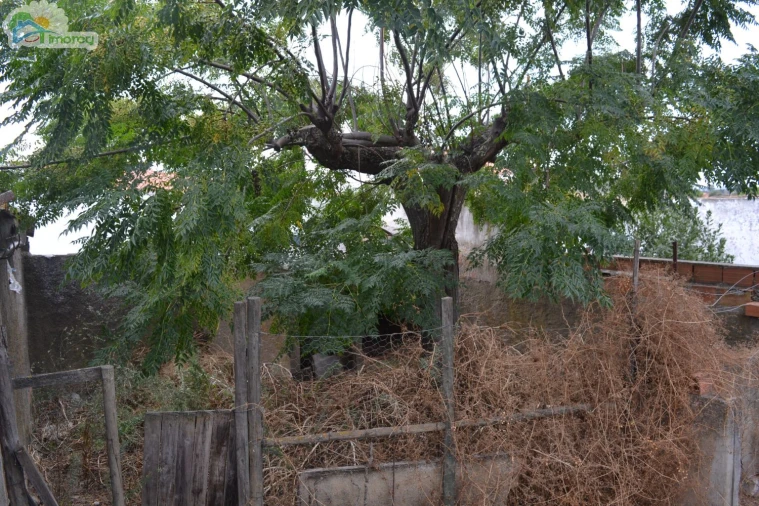 Terreno para Venda em Campo e Campinho Foto 5