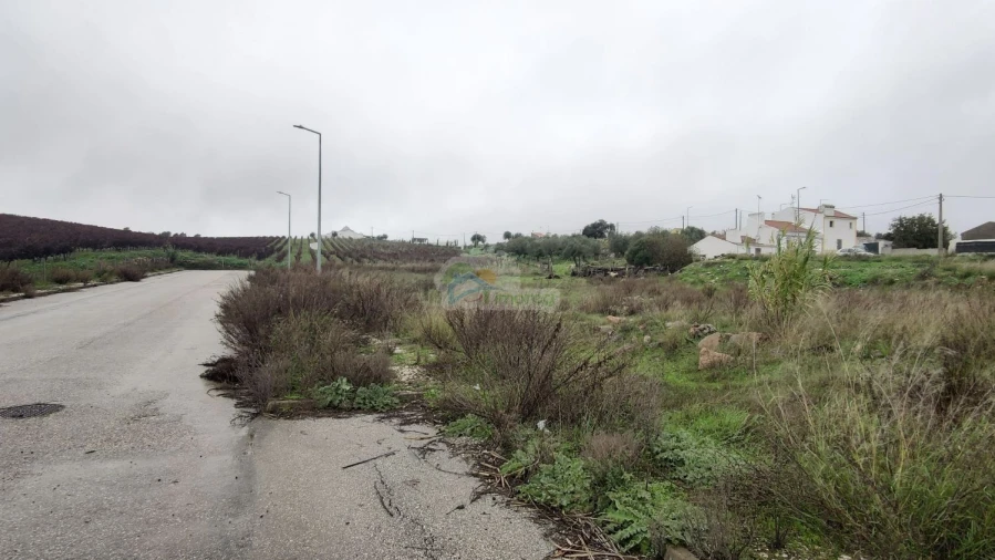 Terreno para Venda em Borba (Matriz) Foto 2