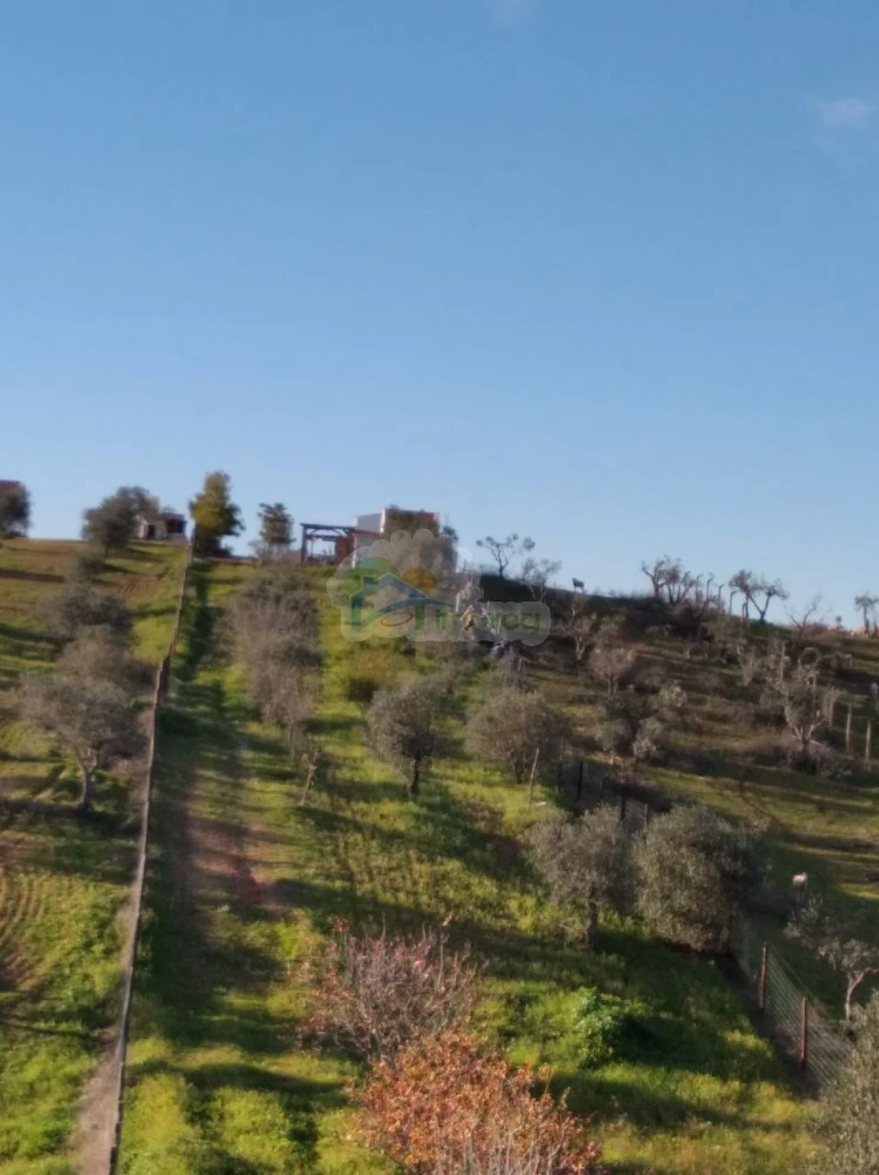 Terreno para Venda em Portel Foto 2