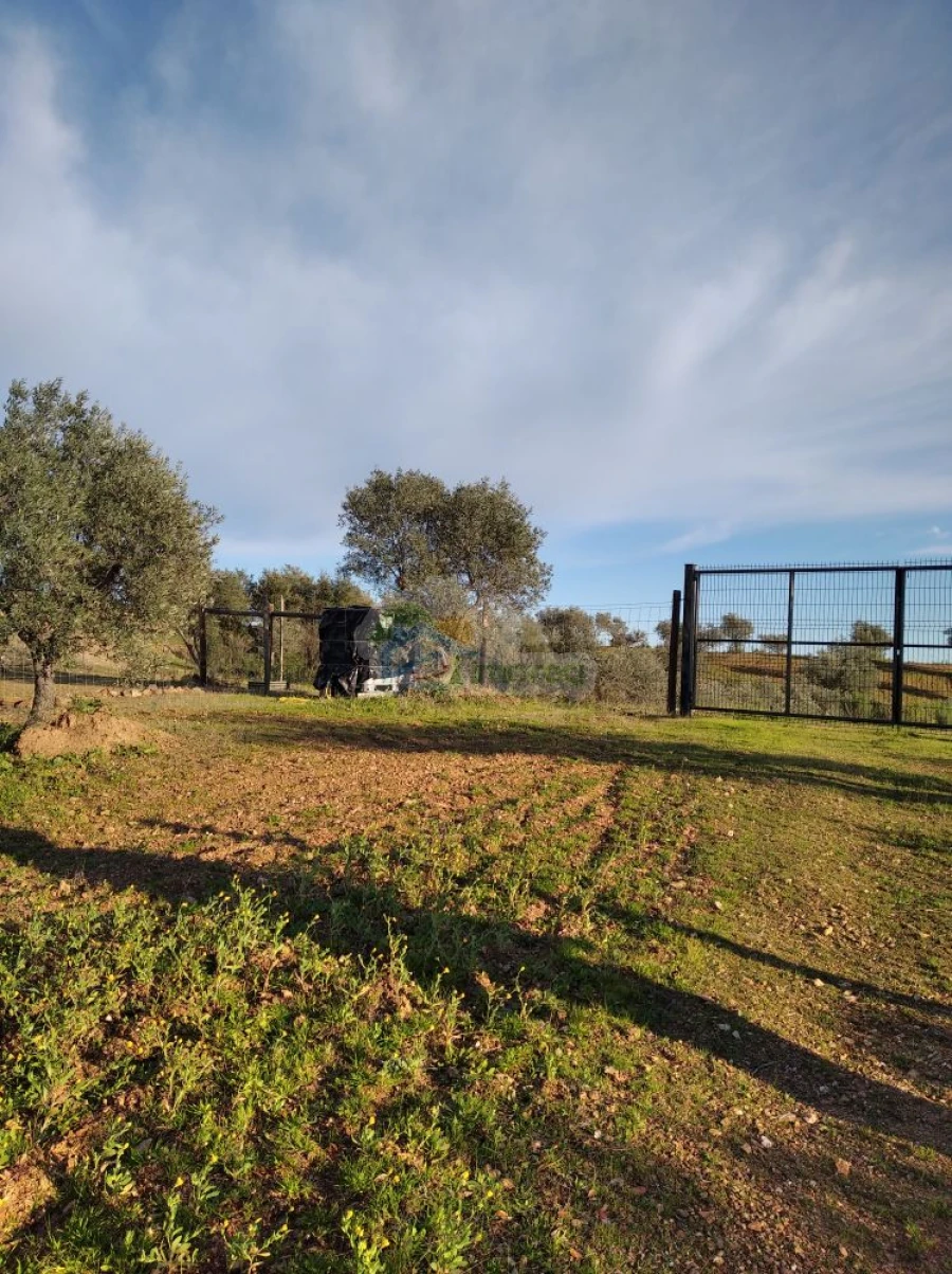 Terreno para Venda em Portel Foto 17