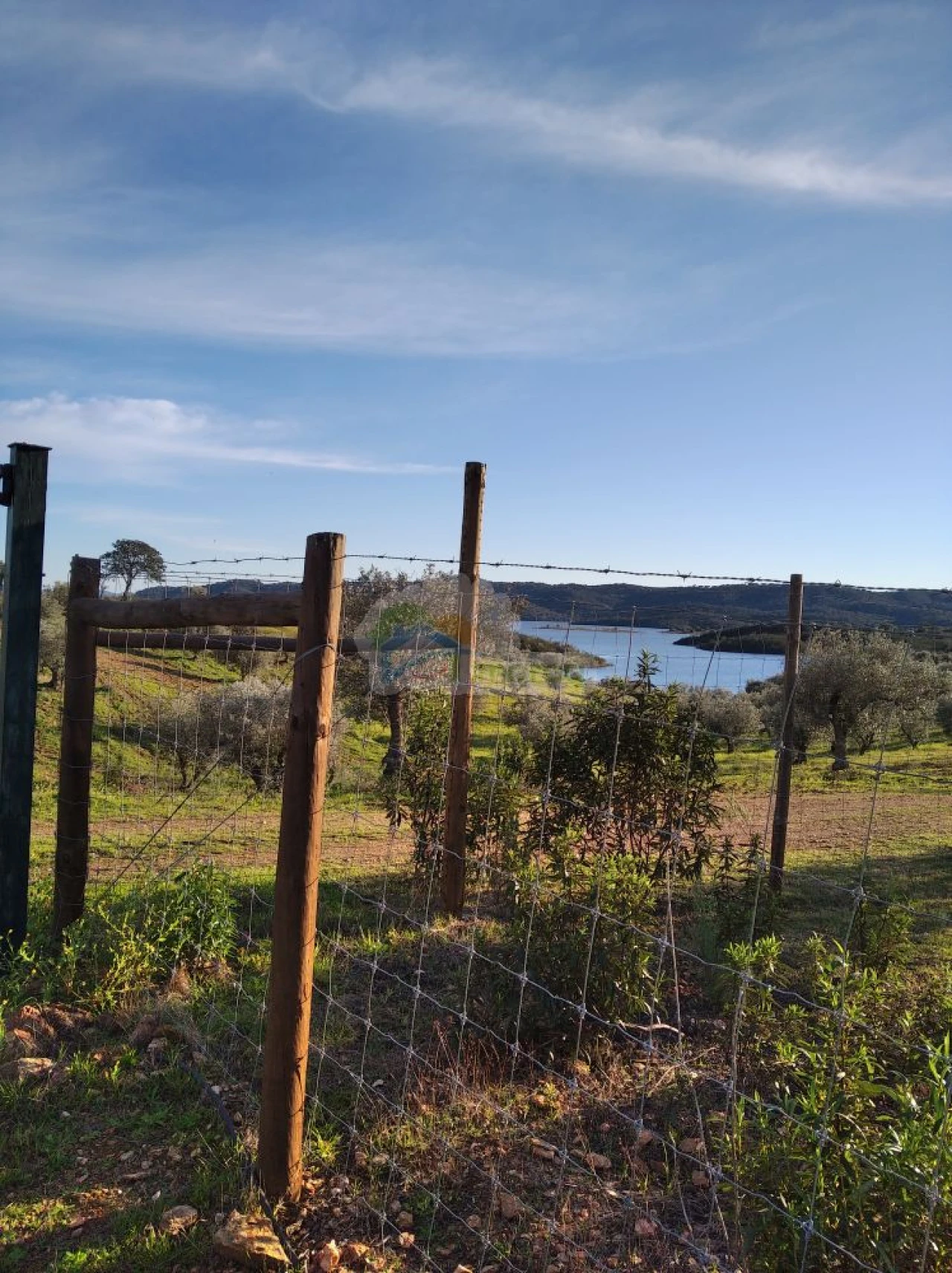 Terreno para Venda em Portel Foto 15