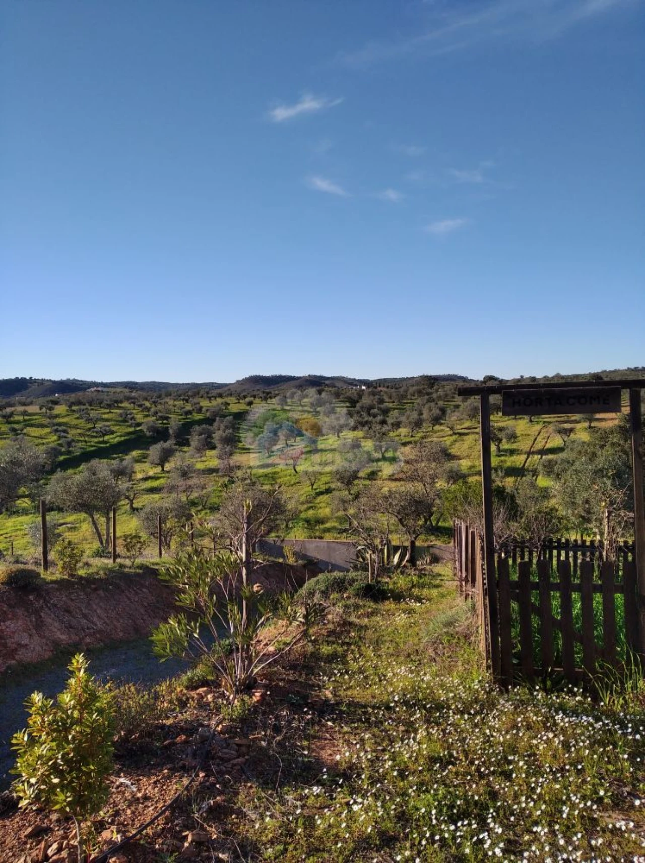 Terreno para Venda em Portel Foto 14