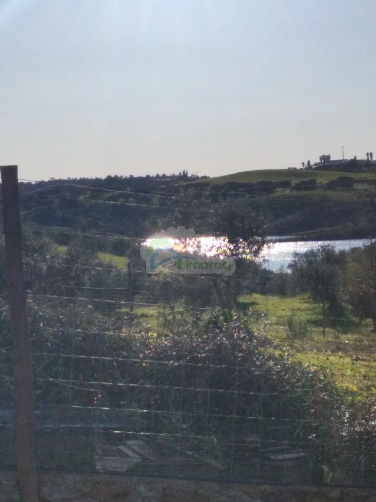 Terreno para Venda em Portel Foto 16