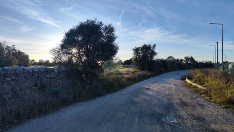 Terreno para Venda em Reguengos de Monsaraz