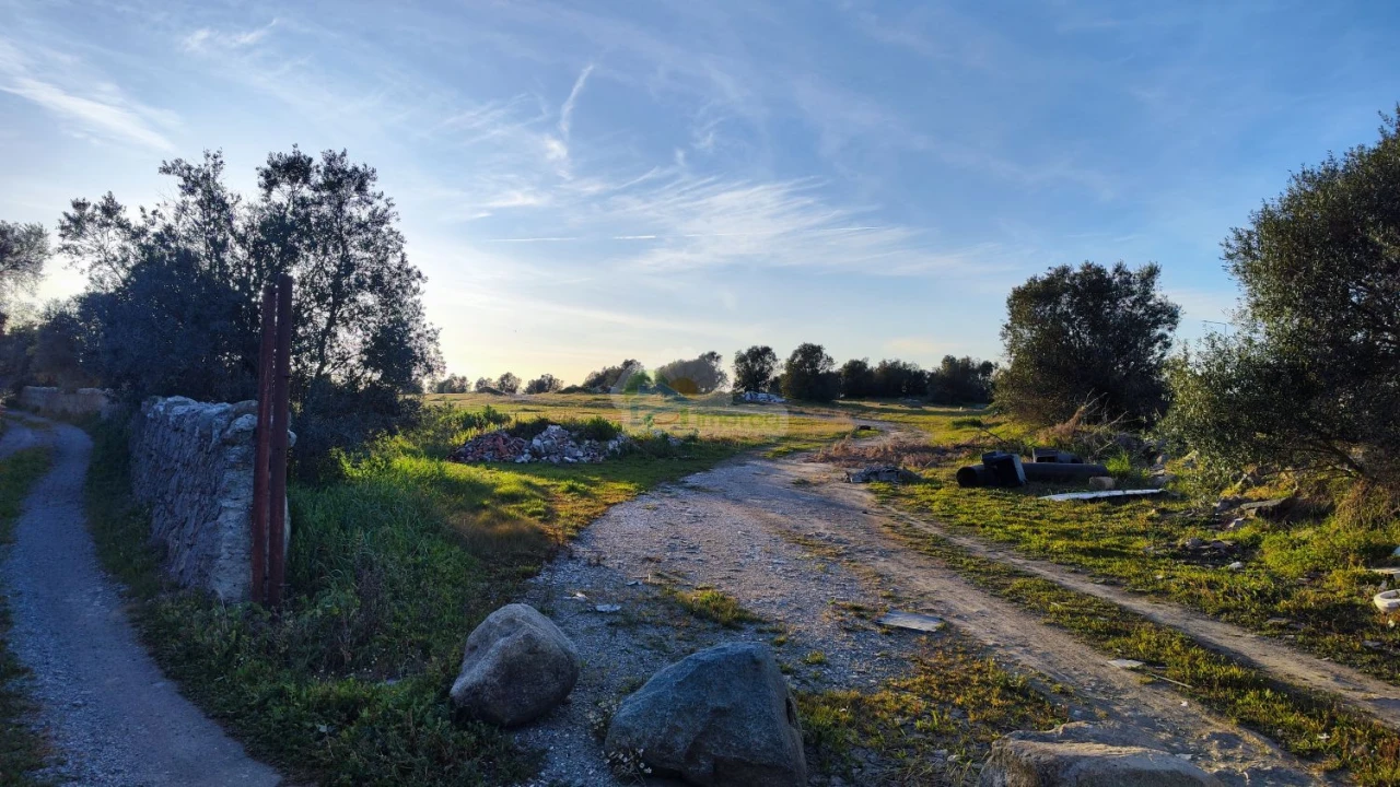 Terreno para Venda em Reguengos de Monsaraz Foto 7