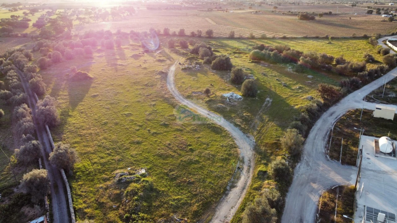 Terreno para Venda em Reguengos de Monsaraz Foto 5