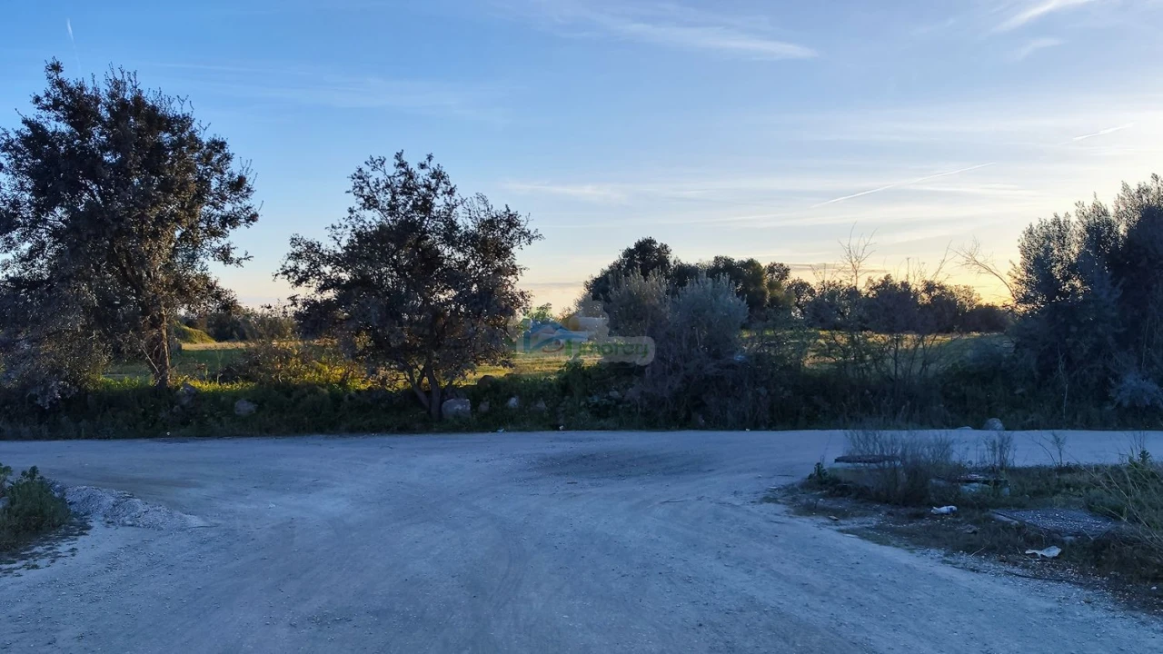 Terreno para Venda em Reguengos de Monsaraz Foto 1