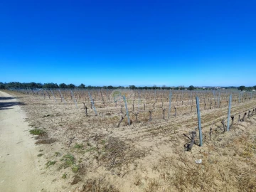 Terreno para Venda em Reguengos de Monsaraz