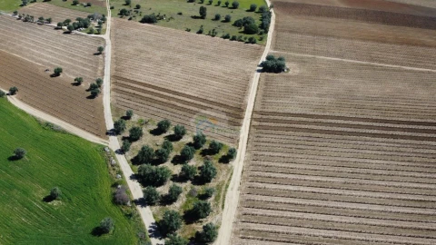 Terreno para Venda em Reguengos de Monsaraz