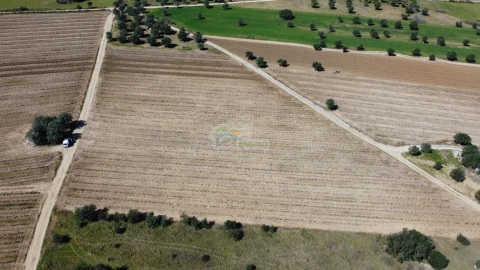 Terreno para Venda em Reguengos de Monsaraz