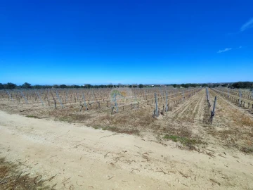 Terreno para Venda em Reguengos de Monsaraz