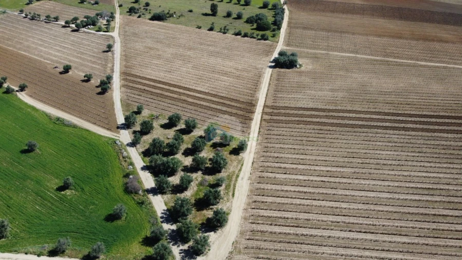 Terreno para Venda em Reguengos de Monsaraz Foto 5