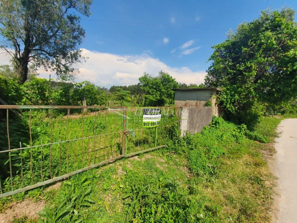 Terreno para Venda em Angeja Foto 4
