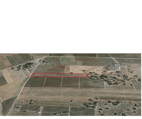 Terreno para Venda em São Manços e São Vicente do Pigeiro Foto 5