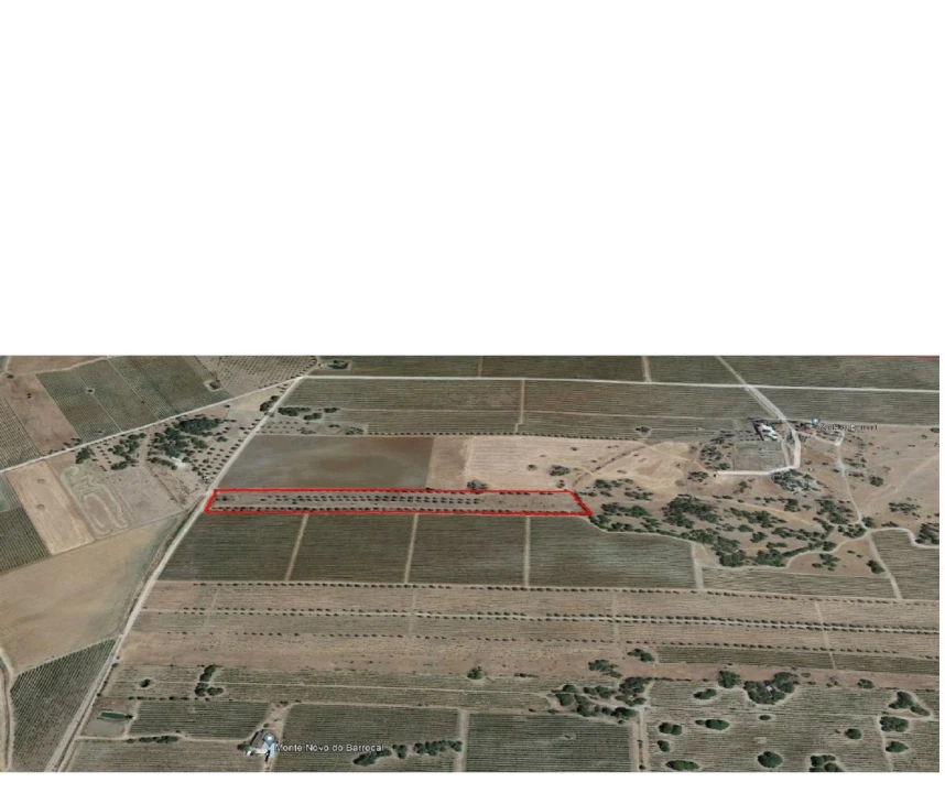 Terreno para Venda em São Manços e São Vicente do Pigeiro Foto 14