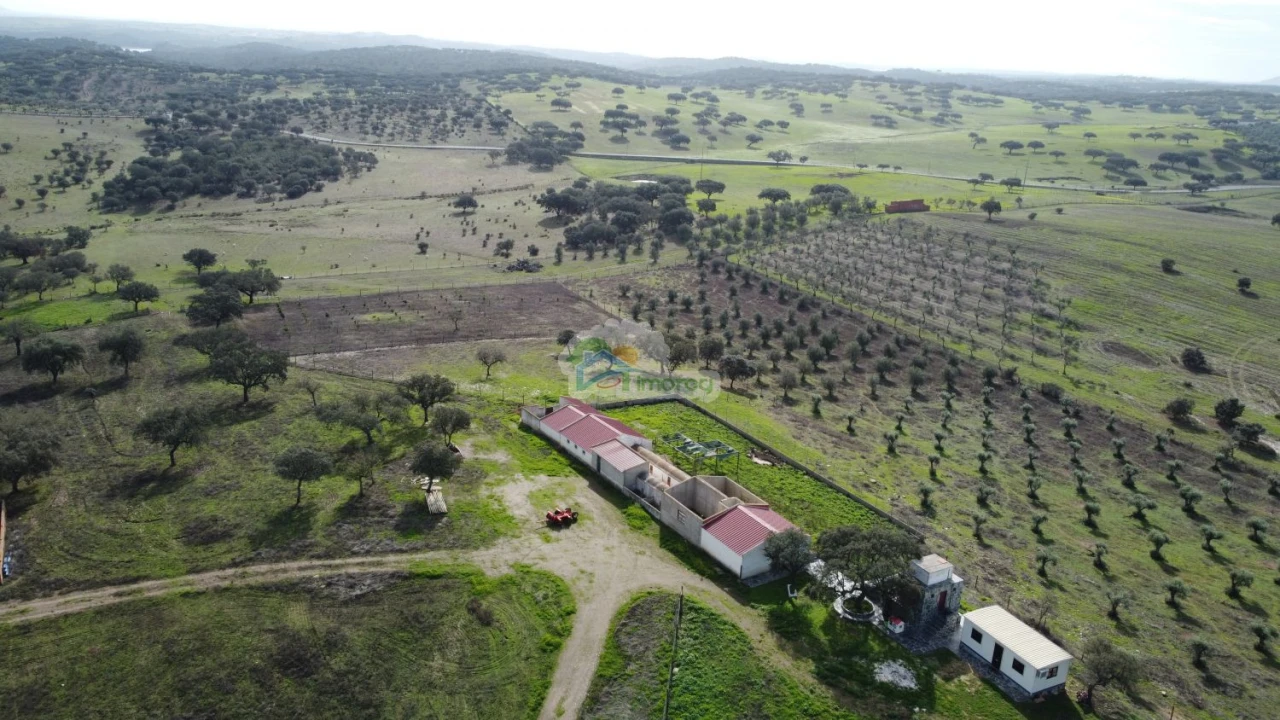Quinta T10 para Venda em Capelins (Santo Antonio) Foto 5
