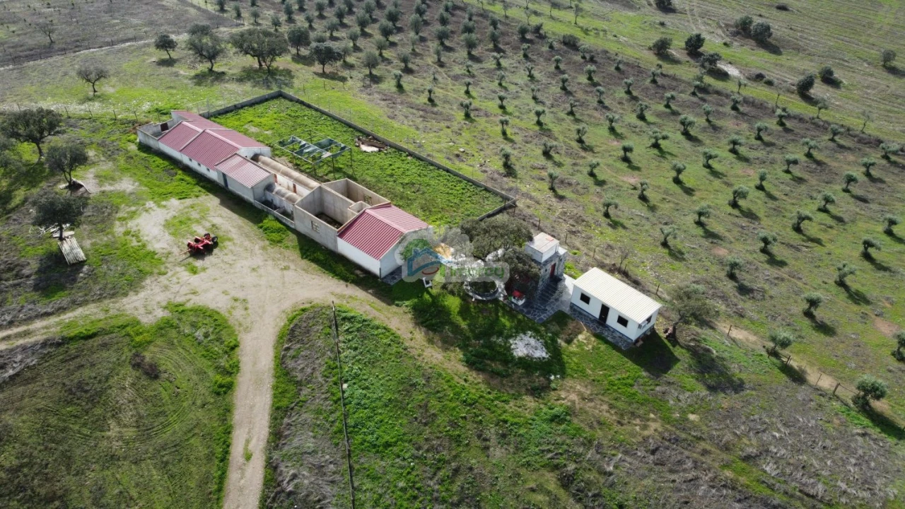 Quinta T10 para Venda em Capelins (Santo Antonio) Foto 6