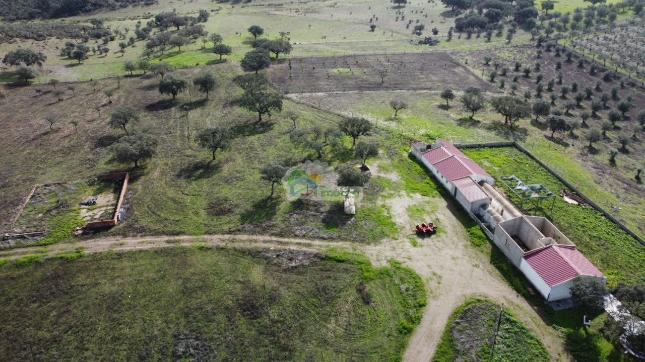 Quinta T10 para Venda em Capelins (Santo Antonio) Foto 11