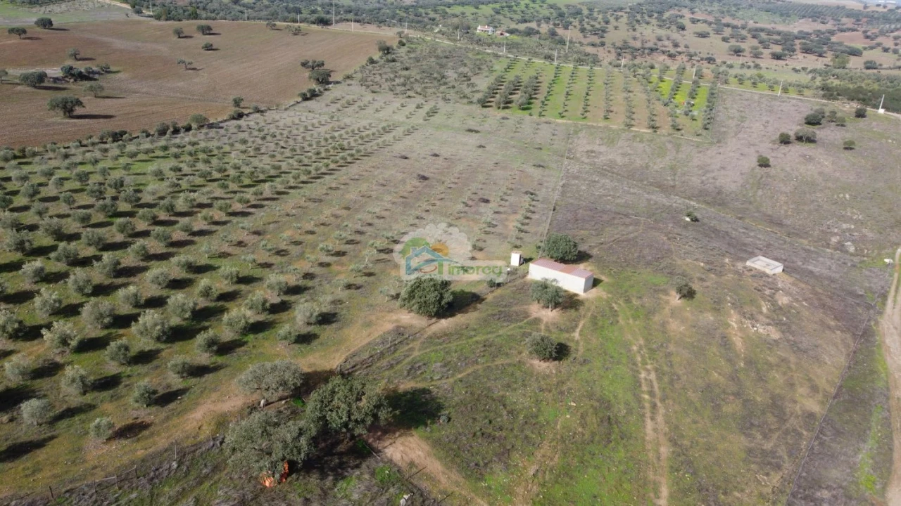 Quinta T10 para Venda em Capelins (Santo Antonio) Foto 8