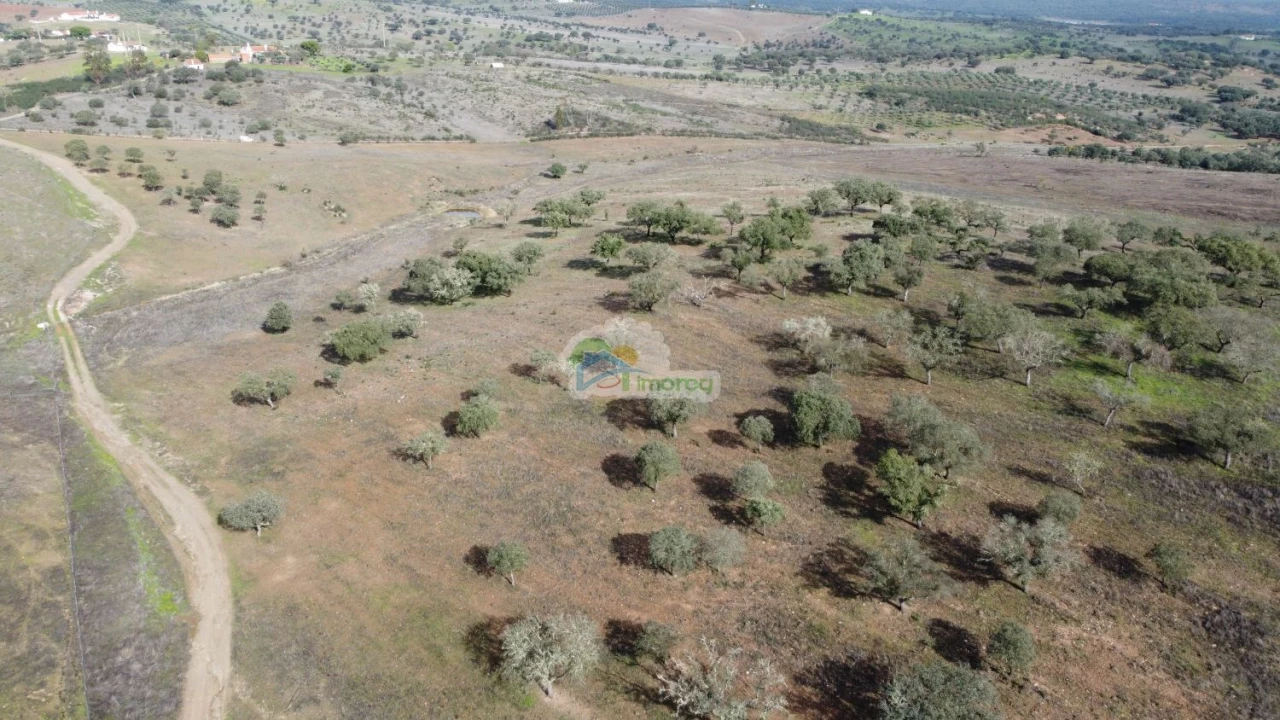 Quinta T10 para Venda em Capelins (Santo Antonio) Foto 13