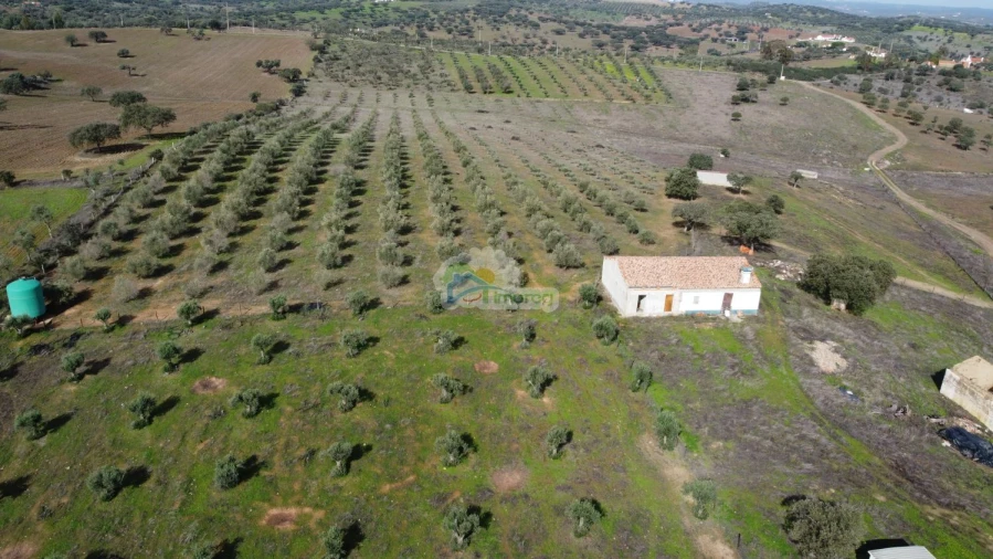 Quinta T10 para Venda em Capelins (Santo Antonio) Foto 23