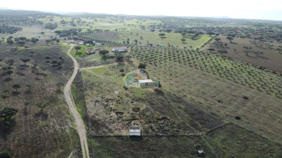 Quinta T10 para Venda em Capelins (Santo Antonio) Foto 2