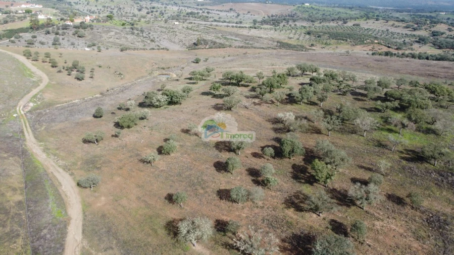 Quinta T10 para Venda em Capelins (Santo Antonio) Foto 13