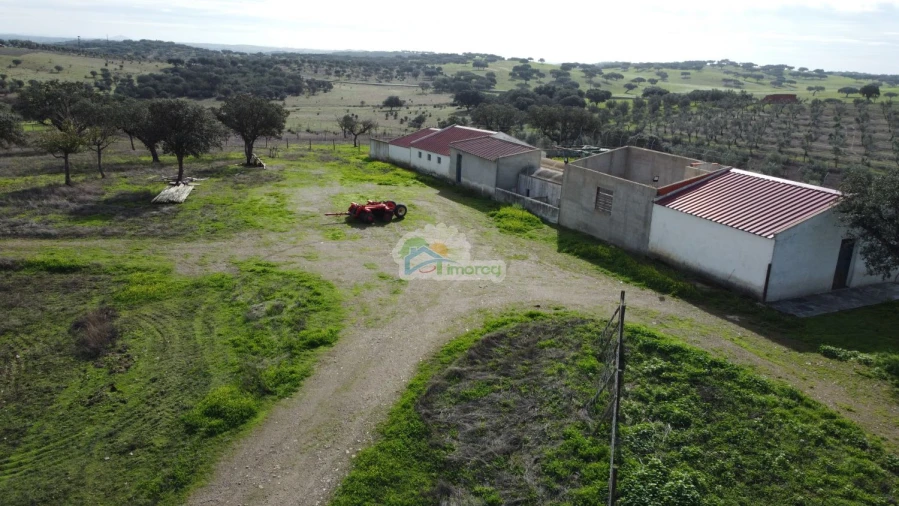 Quinta T10 para Venda em Capelins (Santo Antonio) Foto 16