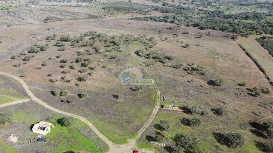 Quinta T10 para Venda em Capelins (Santo Antonio) Foto 28