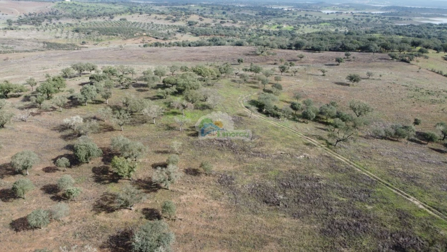 Quinta T10 para Venda em Capelins (Santo Antonio) Foto 14