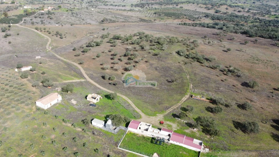 Quinta T10 para Venda em Capelins (Santo Antonio) Foto 32