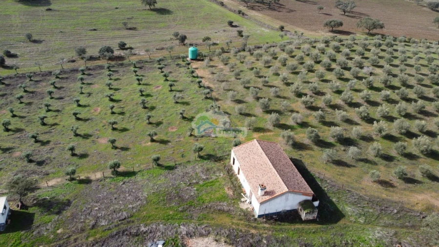 Quinta T10 para Venda em Capelins (Santo Antonio) Foto 7