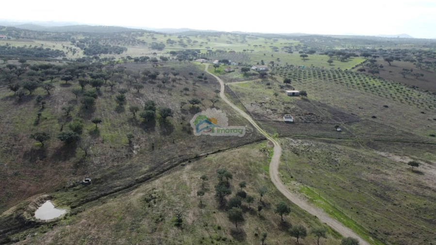 Quinta T10 para Venda em Capelins (Santo Antonio)
