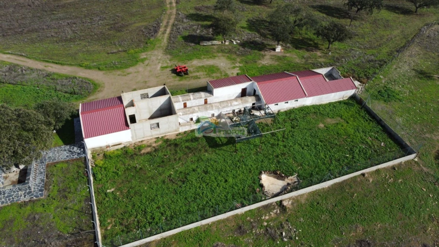 Quinta T10 para Venda em Capelins (Santo Antonio) Foto 21