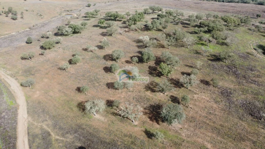 Quinta T10 para Venda em Capelins (Santo Antonio) Foto 10