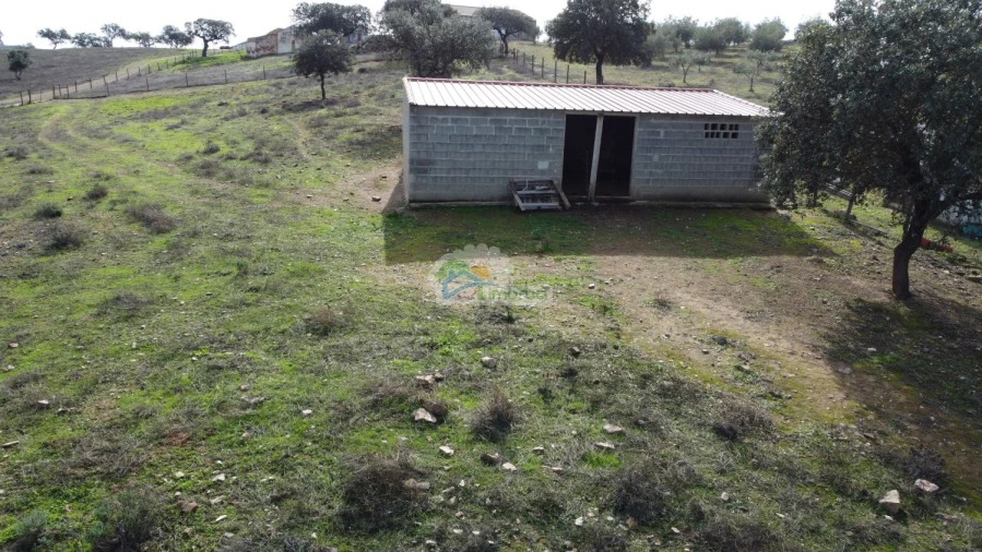 Quinta T10 para Venda em Capelins (Santo Antonio) Foto 43