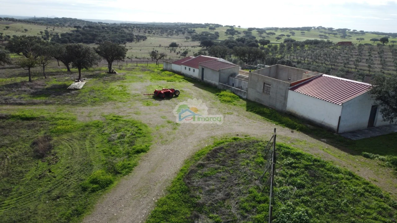 Quinta T10 para Venda em Capelins (Santo Antonio) Foto 16